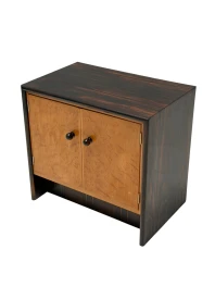 Art Deco Cabinet in Macassar and Birch by Gebroeders Reens Amsterdam, 1930s